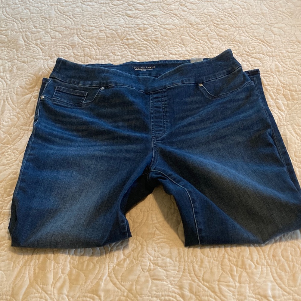 Chico's Indigo Stretch Jeggings Jeans US size 14 Chico size 2.5 Regular - Picture 2 of 9